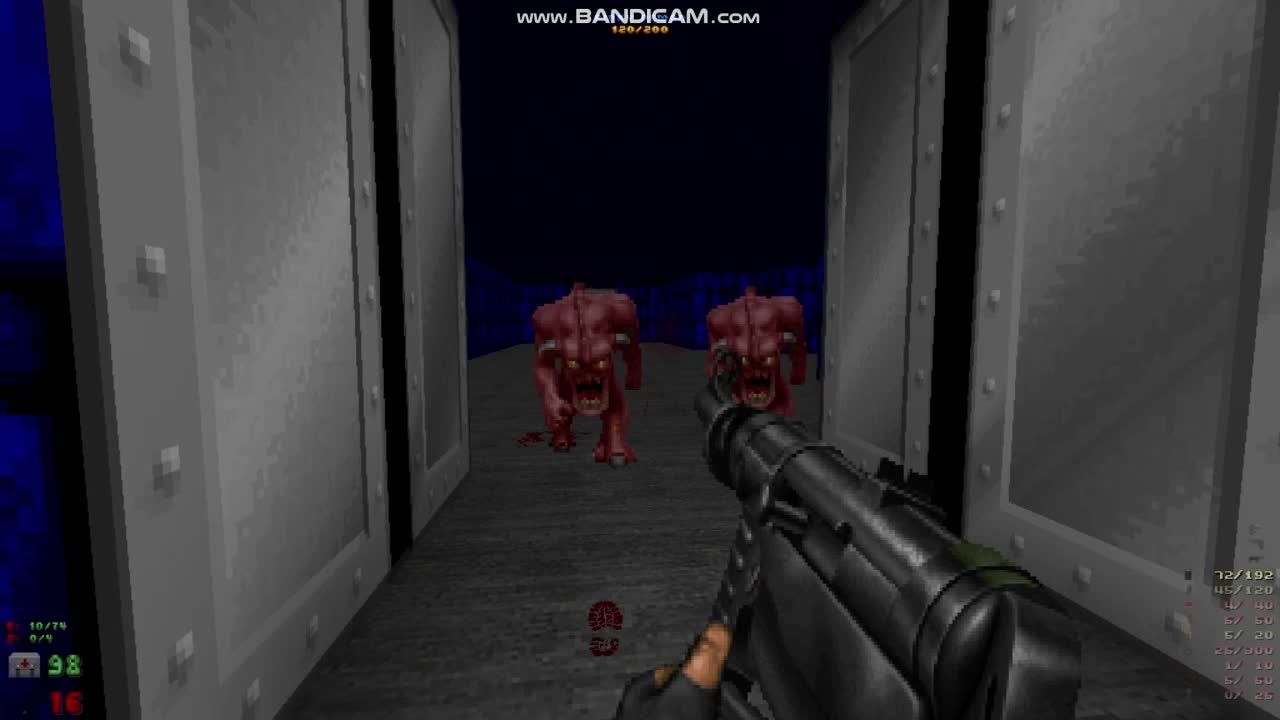 Brutal Wolfenstein Part 2 in the Doom 2 secret levels