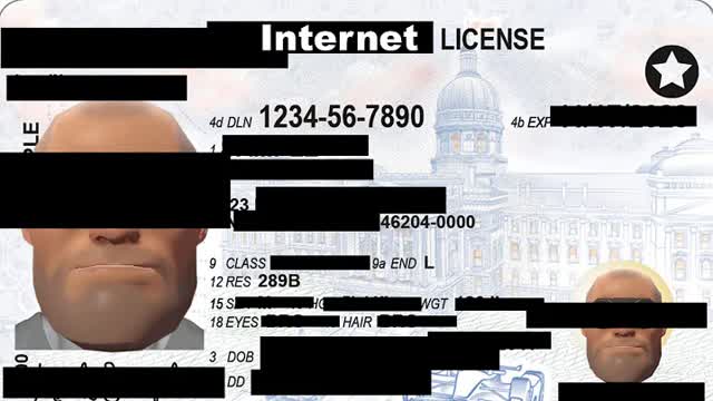 Don't Let This Happen: Internet IDs (archived just incase)