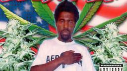 Afroman - Strugglin' N' Strivin'