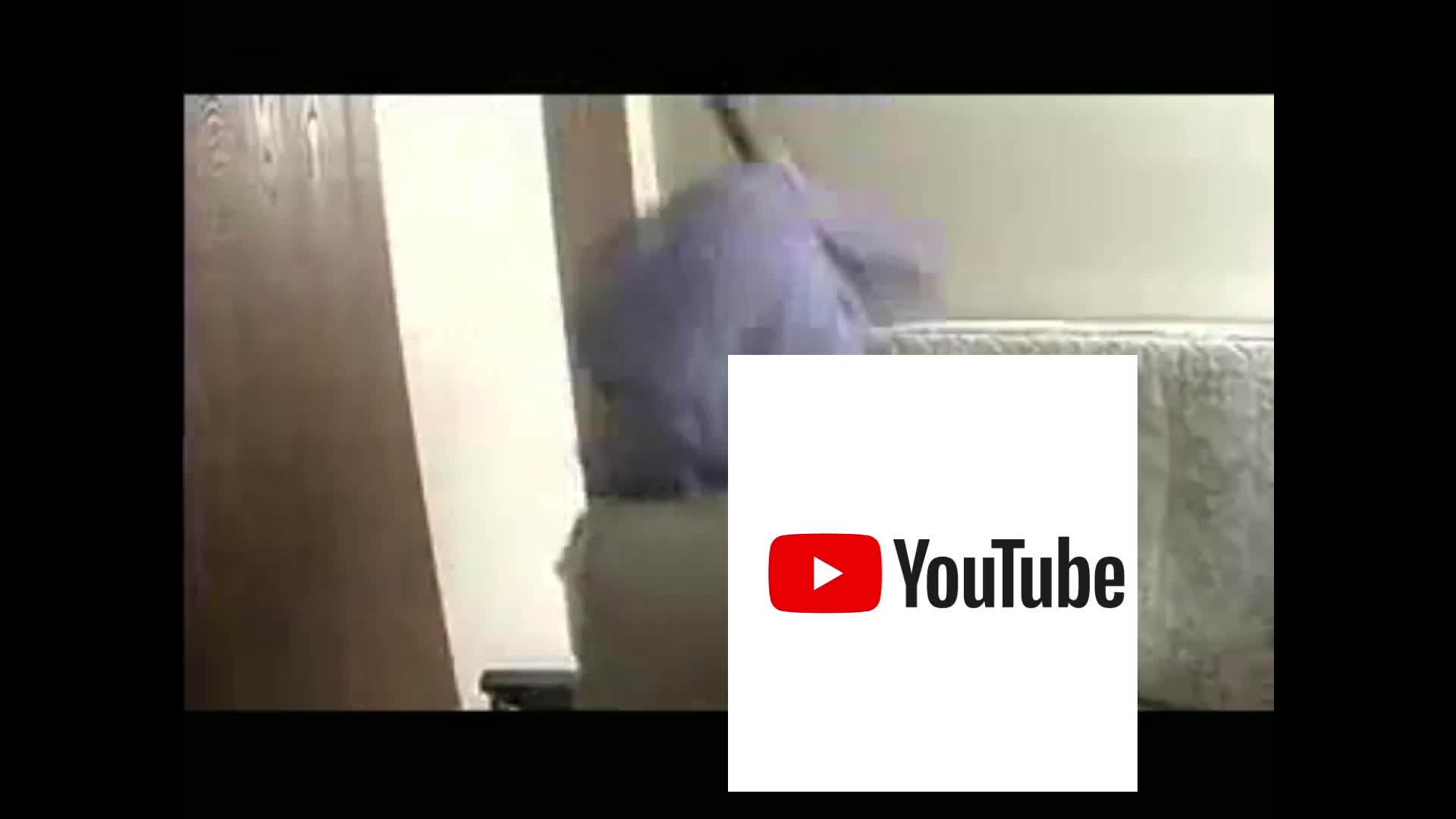 I Fucking Destroy YouTurd