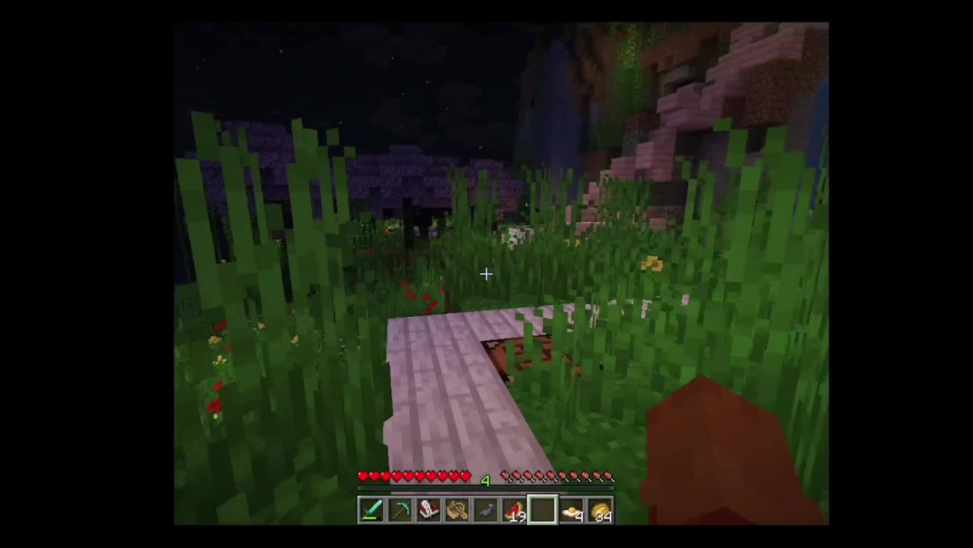 Explorando