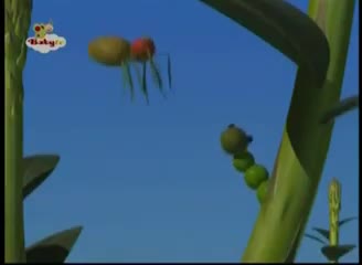 Vegibugs - Spider