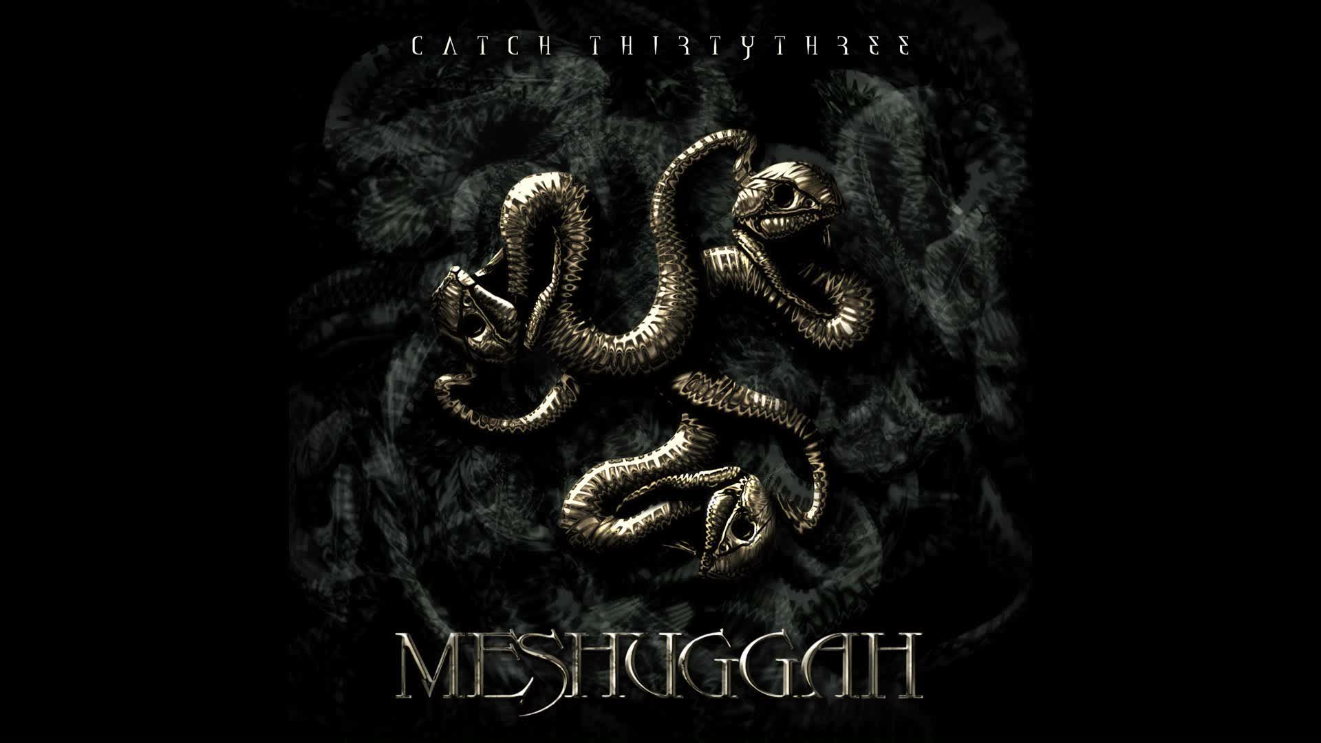 Meshuggah - Personae Non Gratae