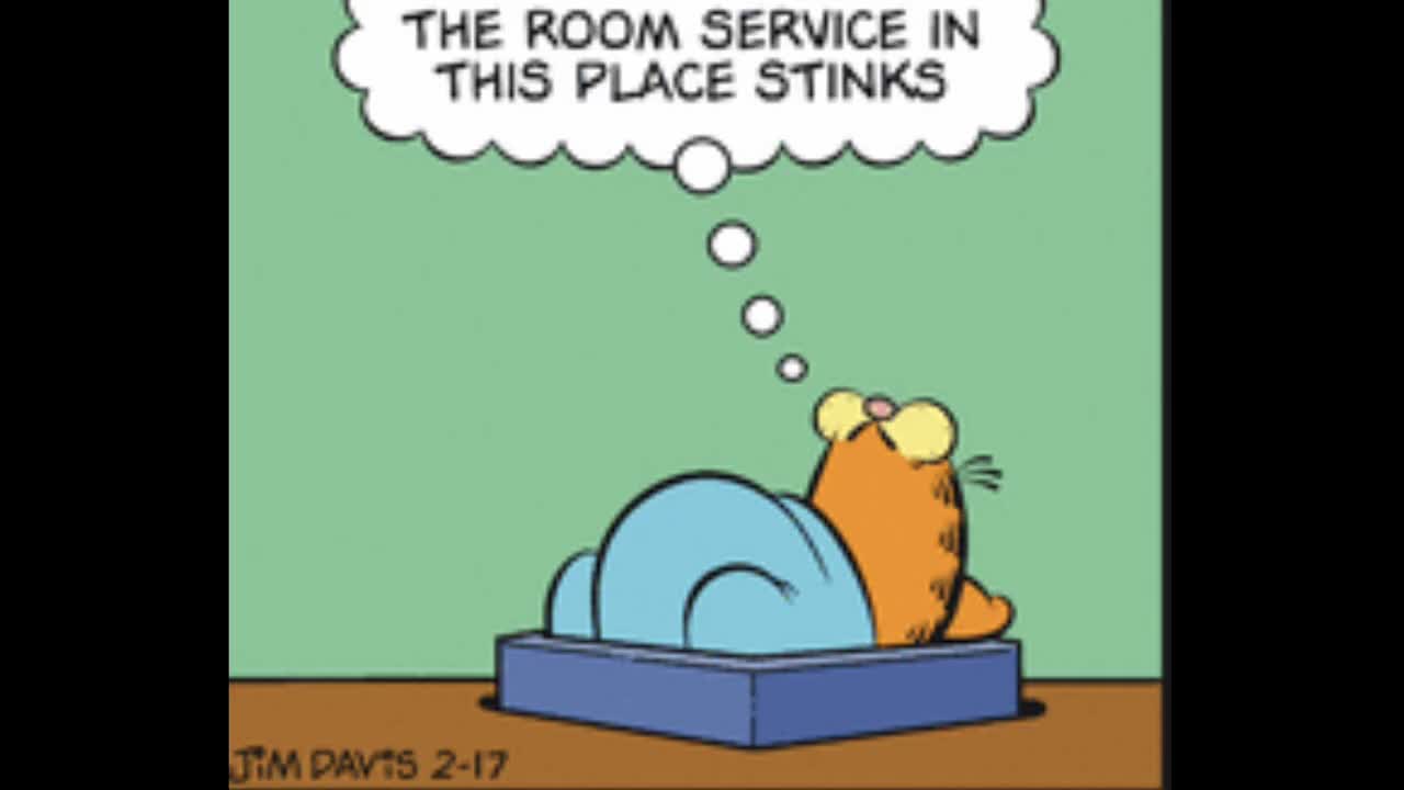 2025_02_17 Garfield Comic Dub