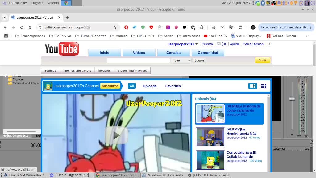 VidLii Funciona :D