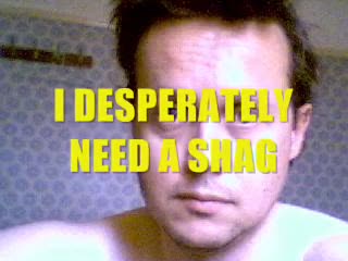 I DESPERATELY NEED A SHAG I DESPERATELY NEED A SHAG