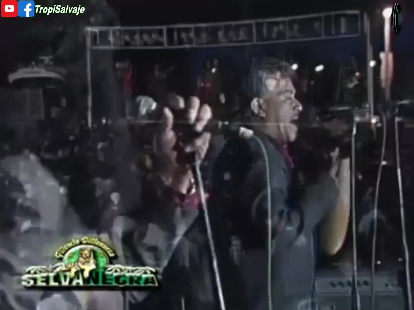 Camaron pelao Selva Negra fiera records