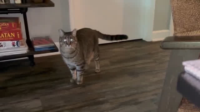 Mable being silly :3