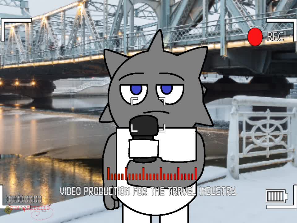 Cat Walking On Han River | space jungle |Animation meme