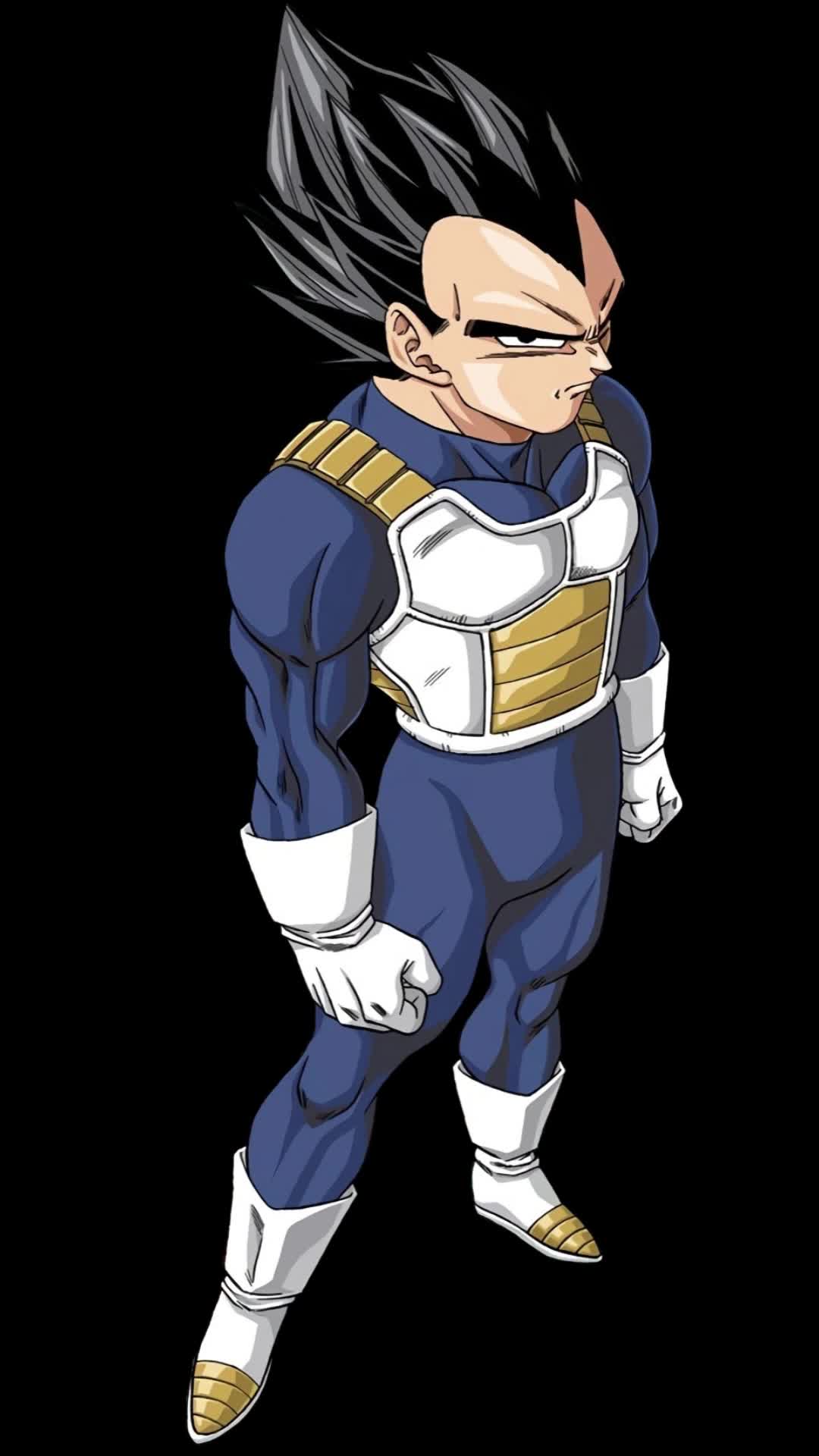 YO EN EL CUERPO DE VEGETA DEFENSANDO A VIDLII  MI PRIMER LOQUENDO