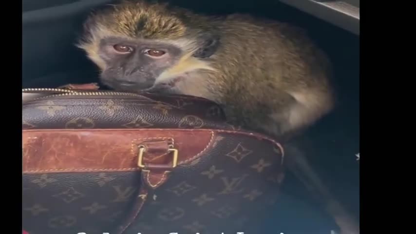 Strange Videos That Have Me Extremely Puzzled Strange Videos That Have Me Extremely Puzzled