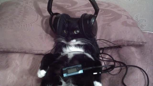 chart by @g4llon chart by @g4llon