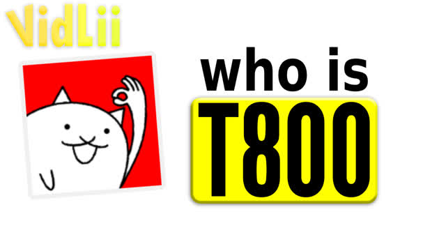 who actually is T800