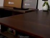 GATOS BAILANDO NO ROMPAS MAS MI POBRE CORAZON