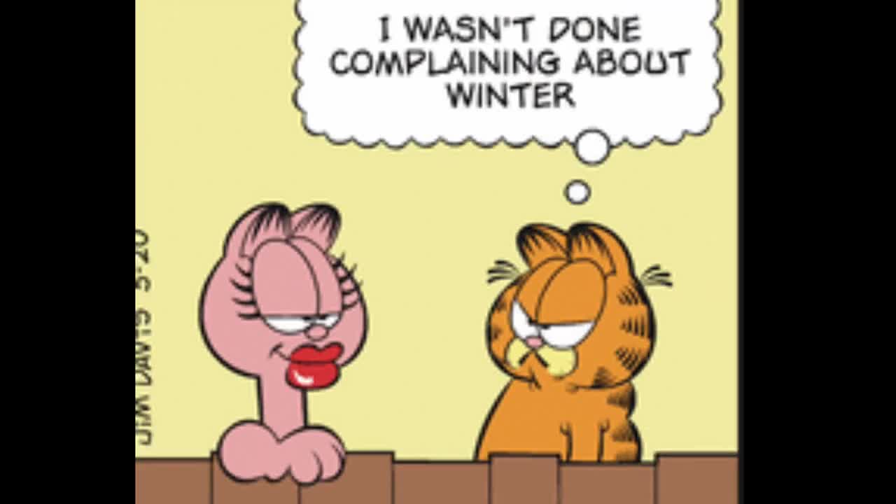 2025_03_20 Garfield Comic Dub