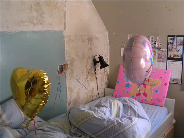 Mylar Balloons summer 2008