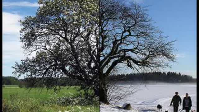 FantomenK - Goodbye Summer, Hello Winter