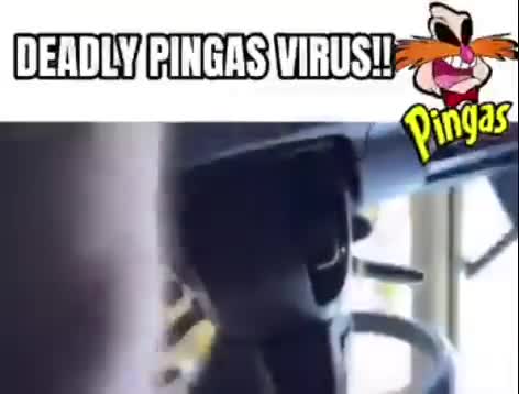 DEADLY PINGAS VIRUS!!!