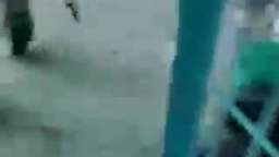 Ukrainian Terrorists hiding out in School killed by Russian liberators