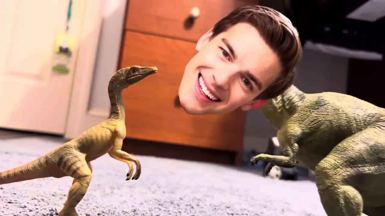 Film Theory In A Nutshell