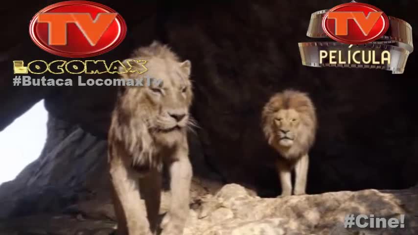 LocomaxTv Bolivia Anime Junio 2025