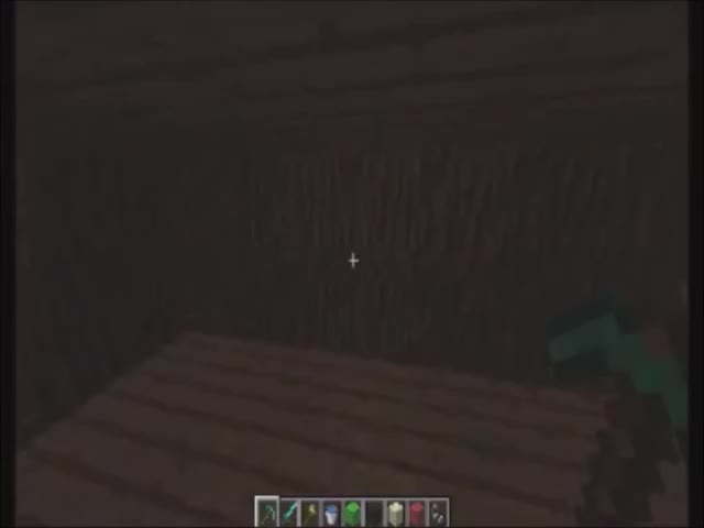 Just normal minecraft gameplayz