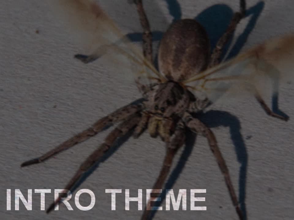 SpiderFlying2005 Intro Theme Song