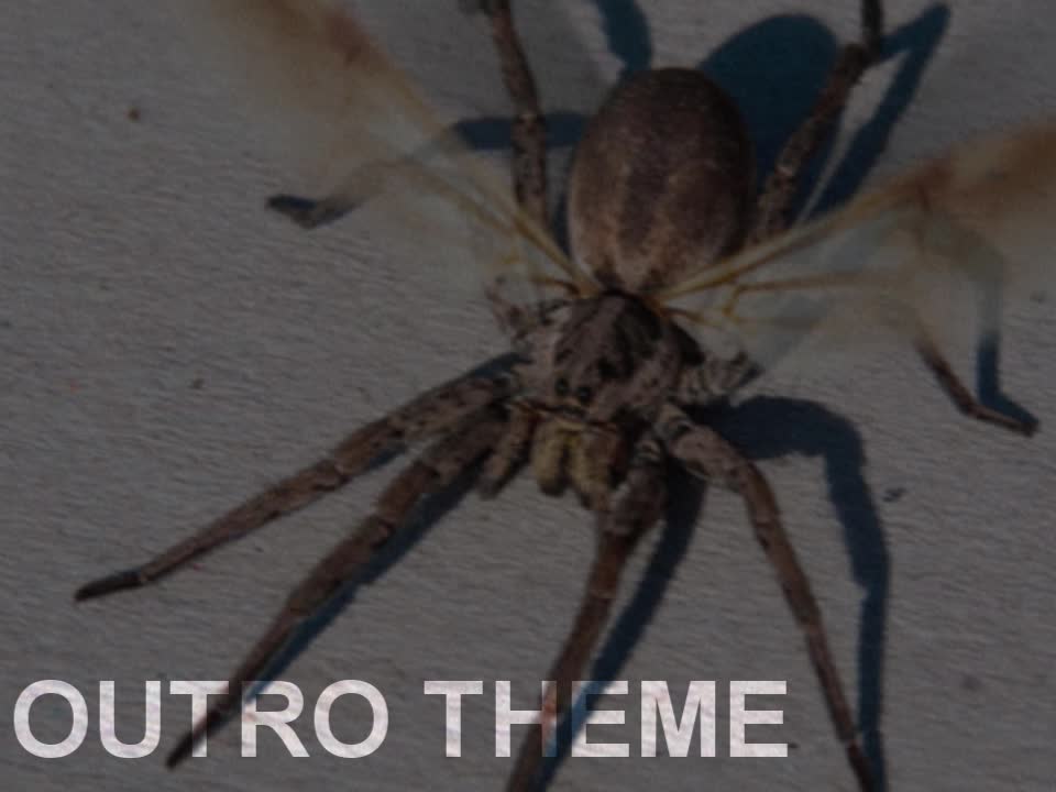 SpiderFlying2005 Outro Theme Song