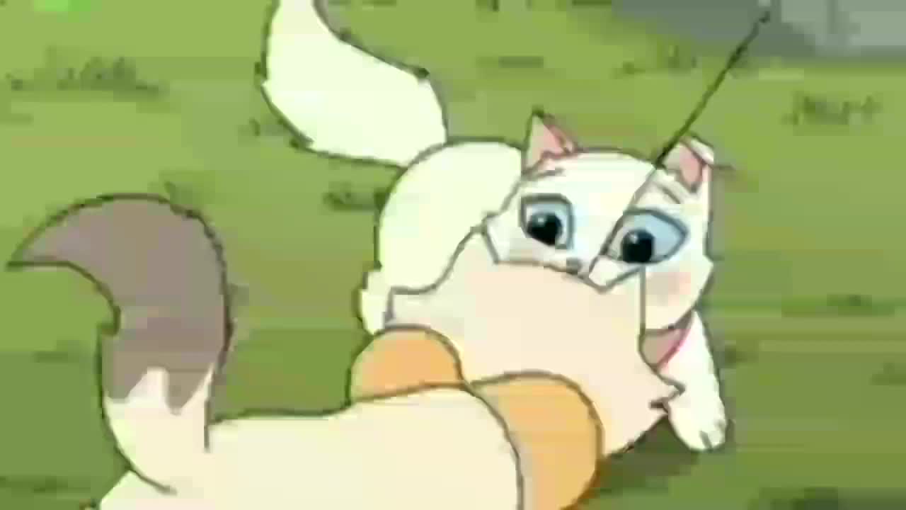 pipa tica