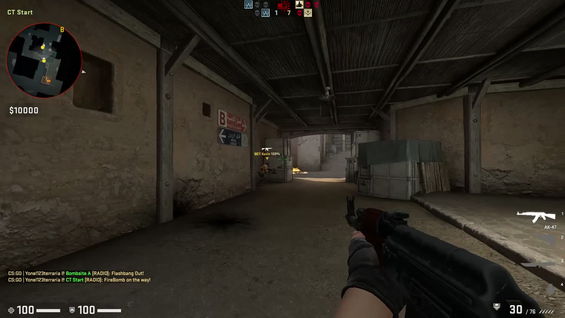 CSGO clip 1080P