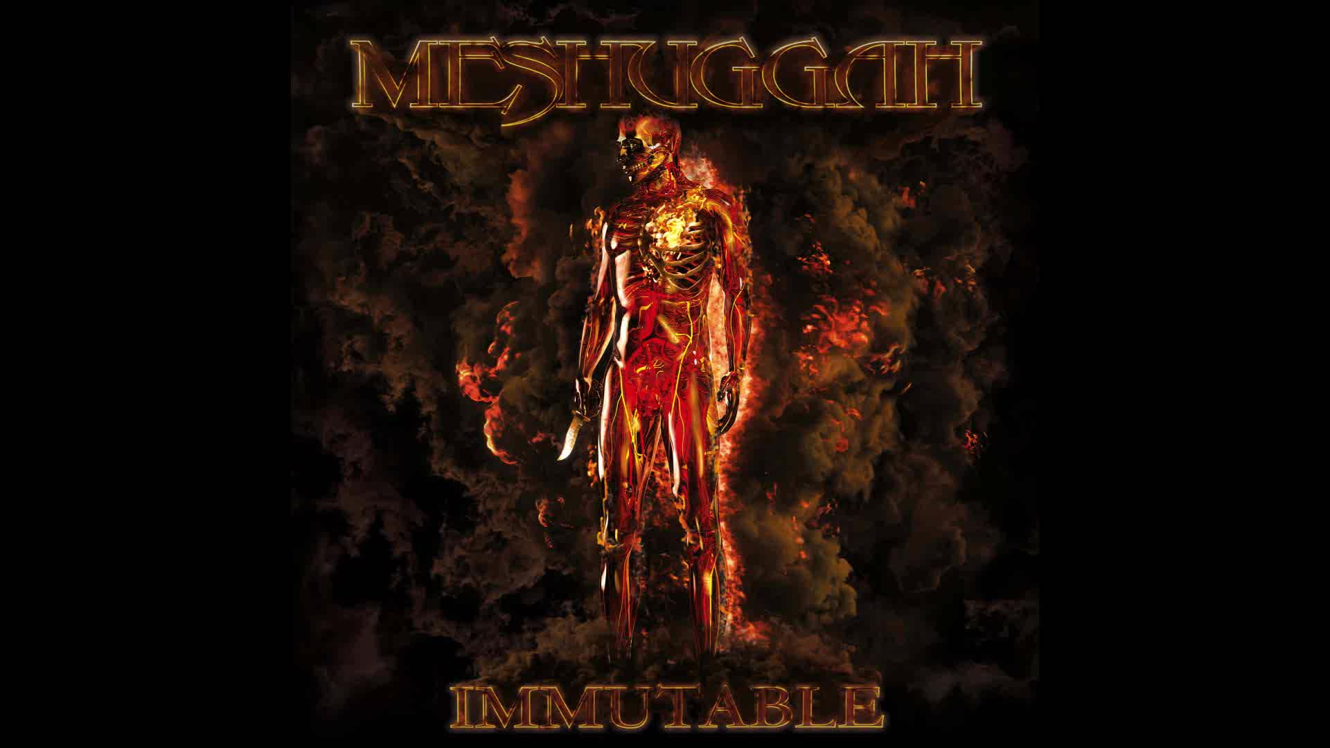 Meshuggah - Light the Shortening Fuse