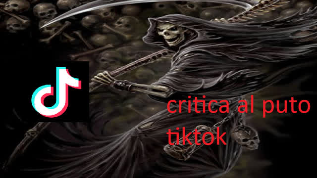 Critica objetiva a tik tok