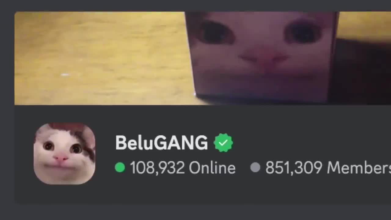 Inviting 851,309 people to a Zoom meeting