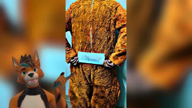 how i lost 5,000 dollars from fursuit scammers