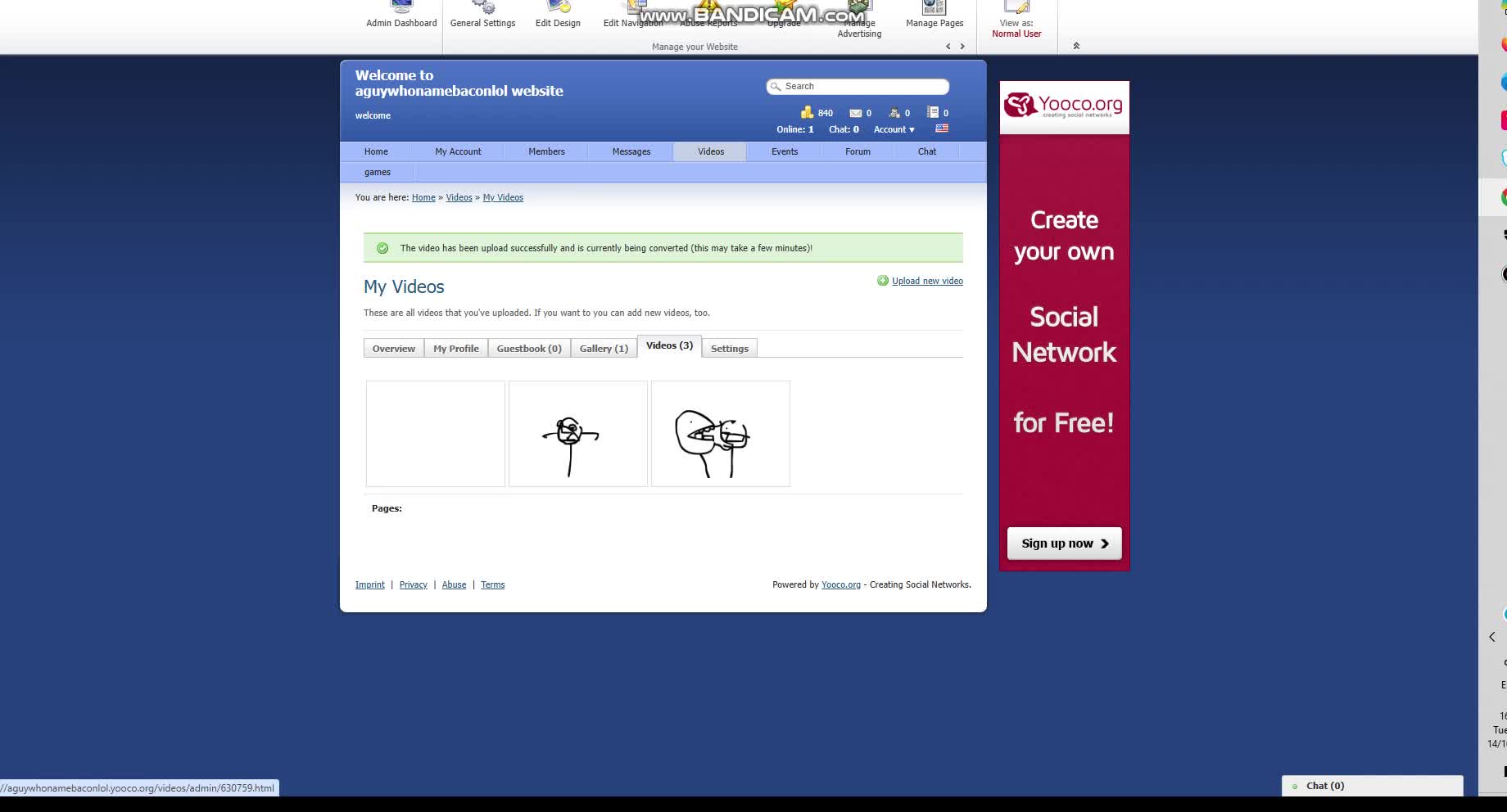 my website my website