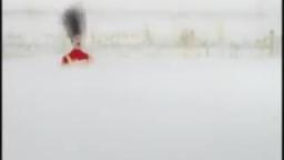 Slim Jim Appendix - Commercial Slim Jim Appendix - Commercial