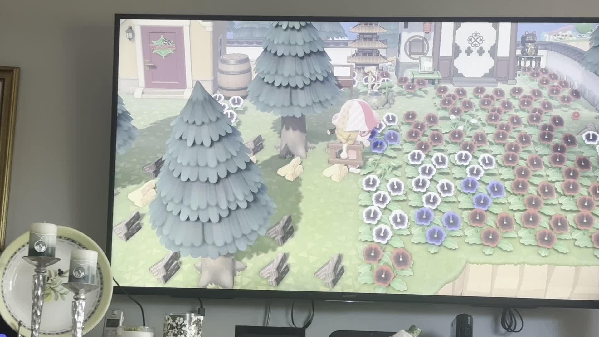 Sick Genji (3-05-2026) Sick Genji (3-05-2026)