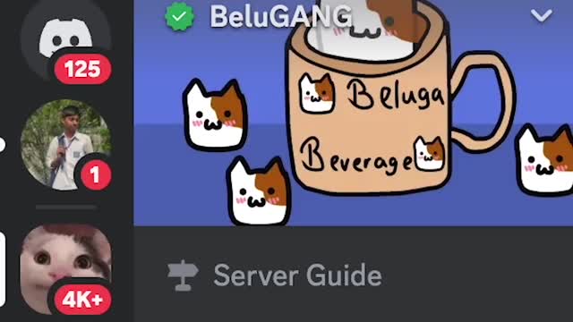 Opening DMs, then pinging 809,139 people