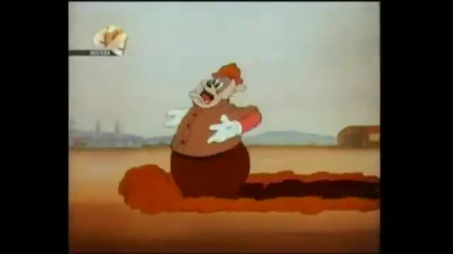 Woodpecker from space