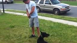 how I train my pet how I train my pet