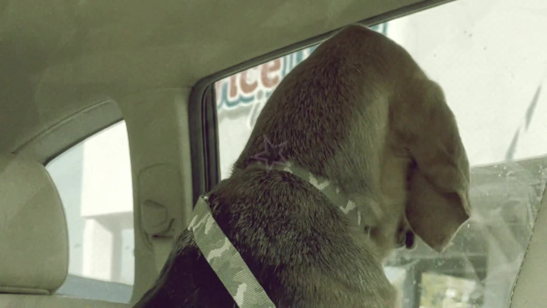 𝑀𝑒𝓂𝑜𝓇𝒾𝑒𝓈 ⊹₊⟡⋆ 𝑀𝑒𝓂𝑜𝓇𝒾𝑒𝓈 ⊹₊⟡⋆