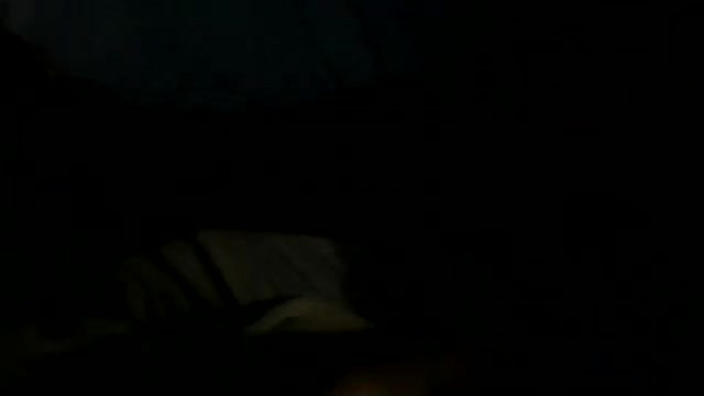 Kevin's kitty