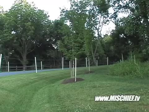 Kid Crashes Civic Trying to Drift