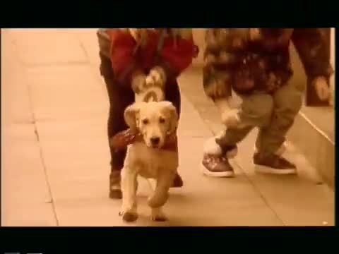 DJ BoBo - Love Is All Around (1995)