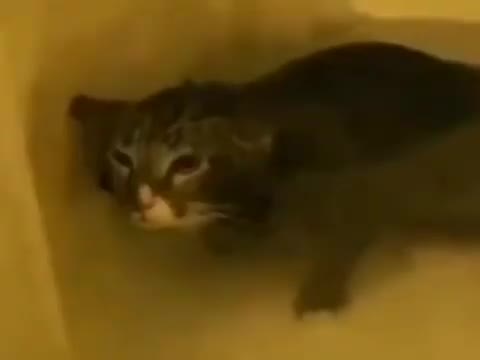 Bro thinks hes a radar