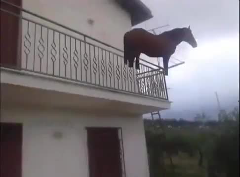 Juan.