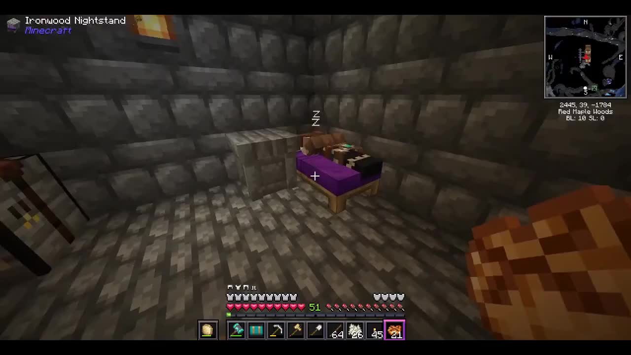 Minecraft - Let Sleeping Villagers Snore