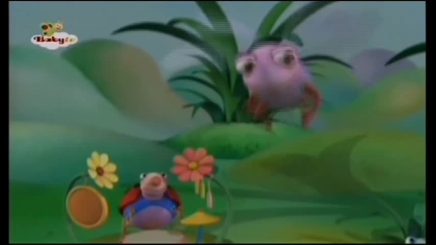 Big Bugs Band - Carmen