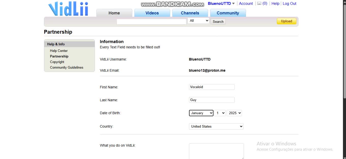 Getting partnership on vidlii