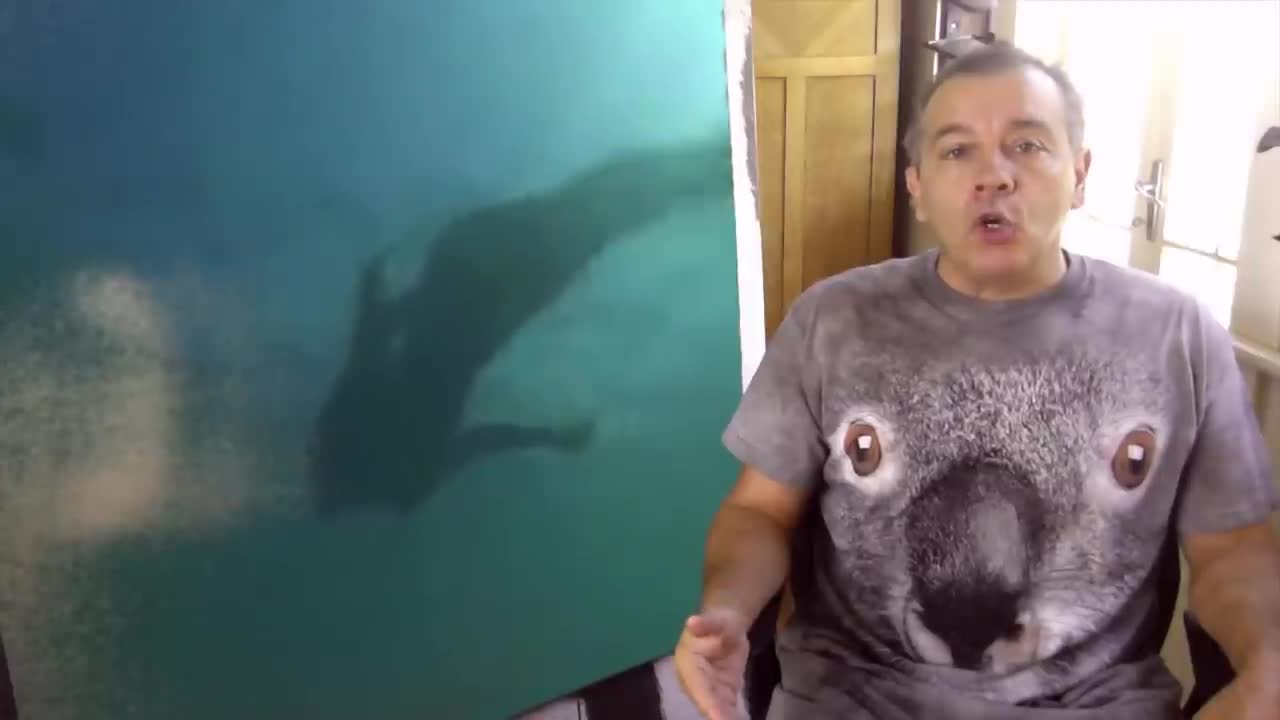 Guerra de Divas 11: La guerra sucia de Oxlack - Parte 1.